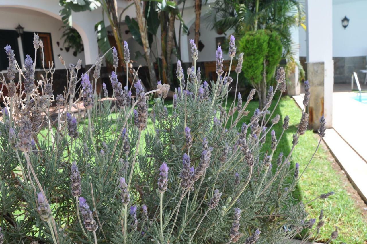 Bonita Casa Calida Para El Relax Con Wifi Valsequillo de Gran Canaria Zewnętrze zdjęcie