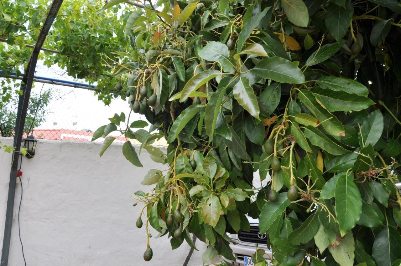 Bonita Casa Calida Para El Relax Con Wifi Valsequillo de Gran Canaria Zewnętrze zdjęcie